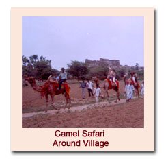 Jaipur Village Safari - Camel Safari In Jaipur