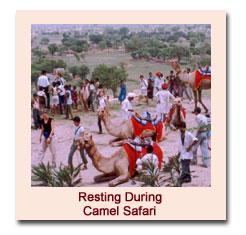 Rajasthan Village Safari - Camel Safari In Rajasthan